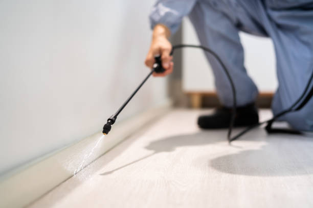Licensed Cockroach Control service in Somerville, TX - Nex Pest Control