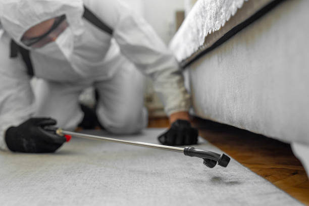 Professional Cockroach Control technician working in Somerville, TX