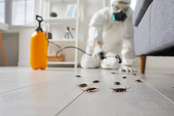 Trusted Fumigation Services service in Somerville, TX - Nex Pest Control