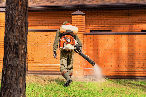 Trusted Termite Control service in Somerville, TX - Nex Pest Control